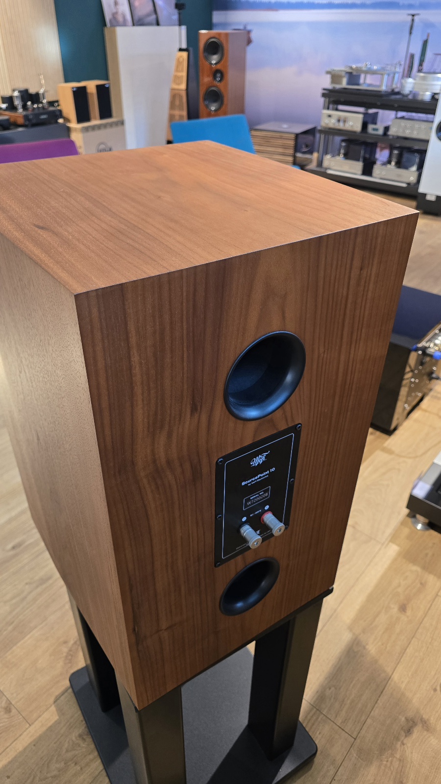 Mofi SourcePoint 10 - Walnut - Demolautsprecher