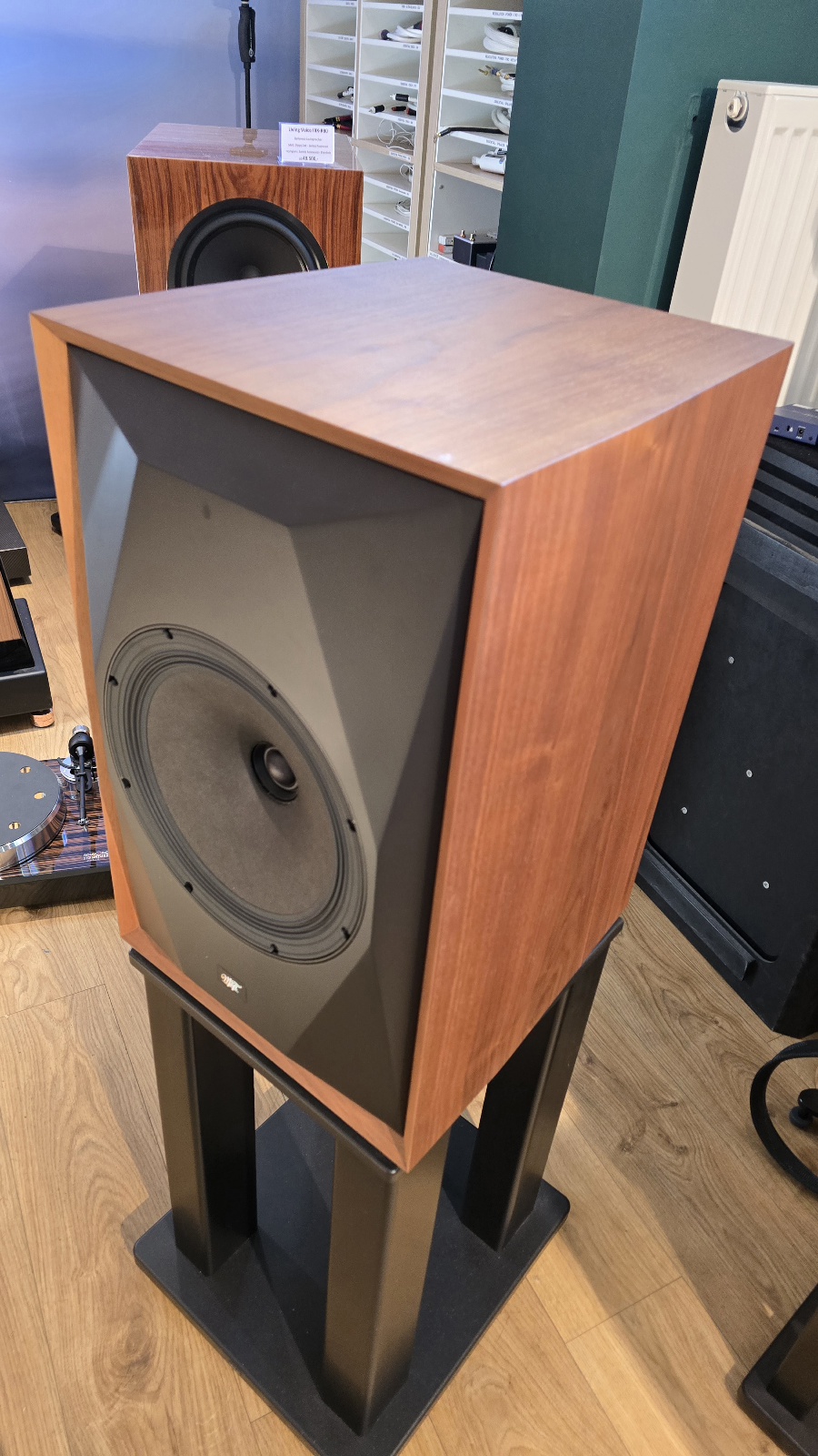 Mofi SourcePoint 10 - Walnut - Demolautsprecher