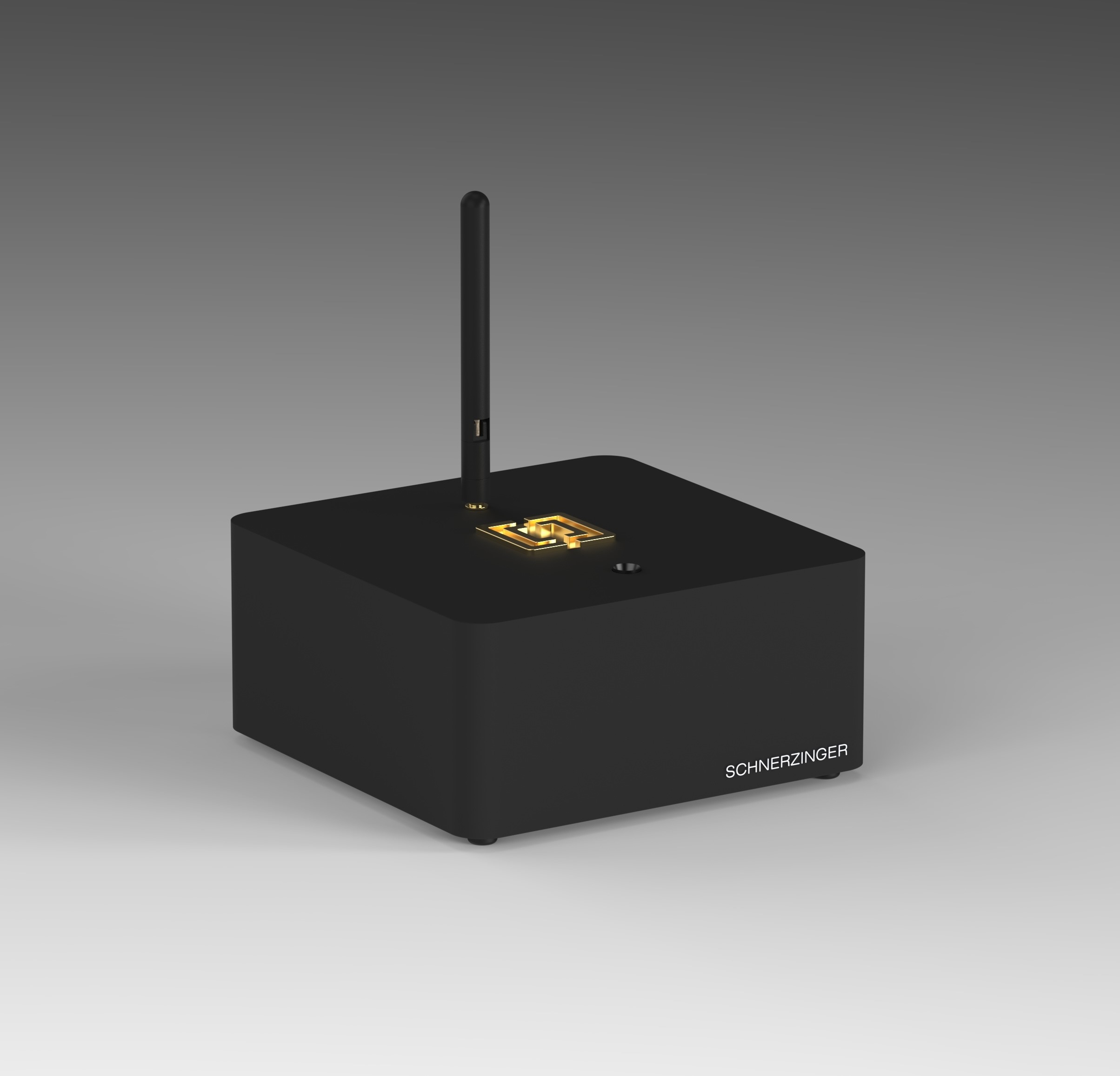 SCHNERZINGER LAN PROTECTOR