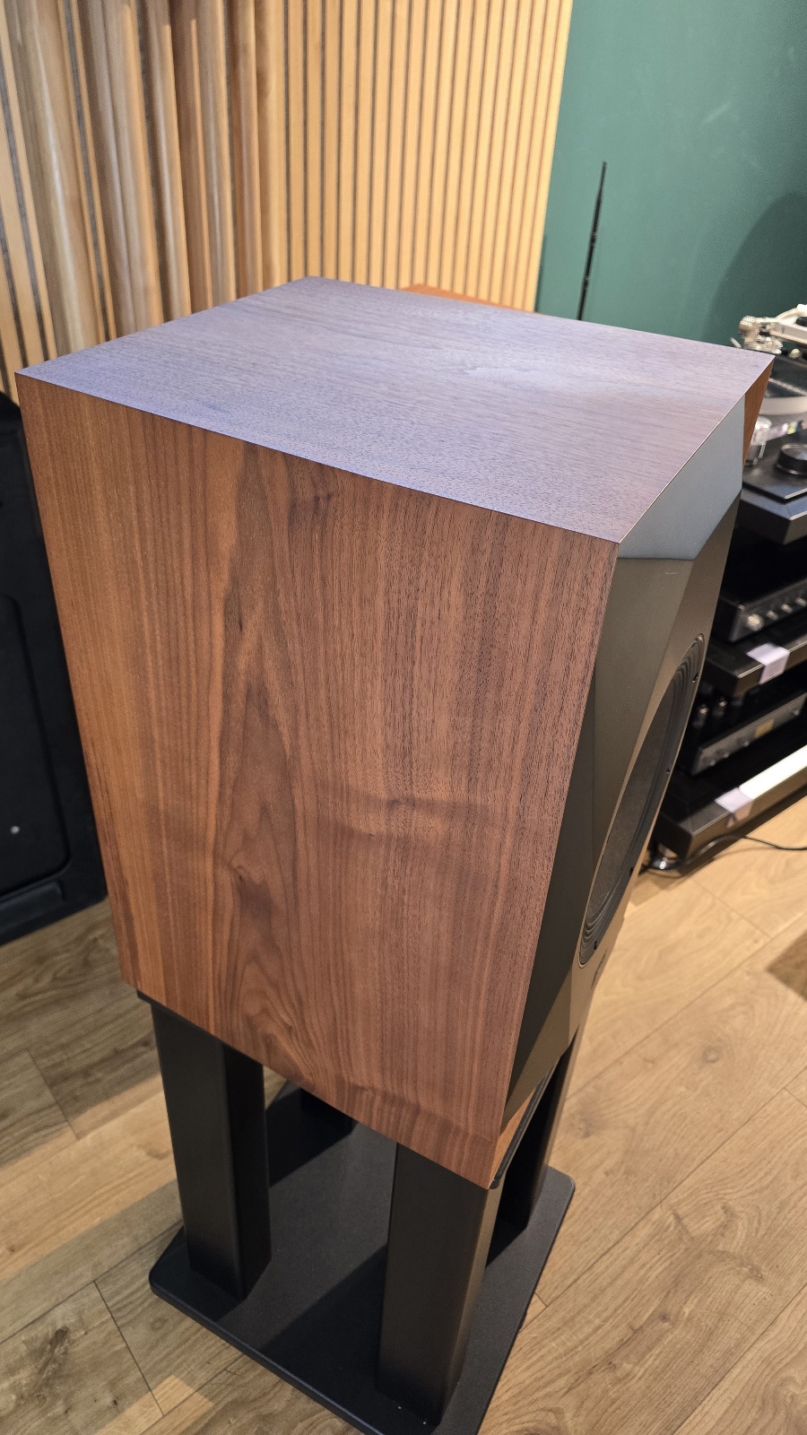 Mofi SourcePoint 10 - Walnut - Demolautsprecher
