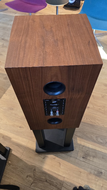 Mofi SourcePoint 10 - Walnut - Demolautsprecher