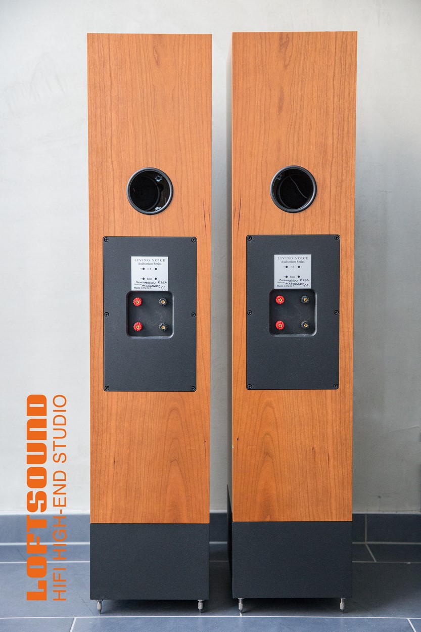 Living Voice Auditorium R25A - Standlautsprecher - Schleiflack Schwarz