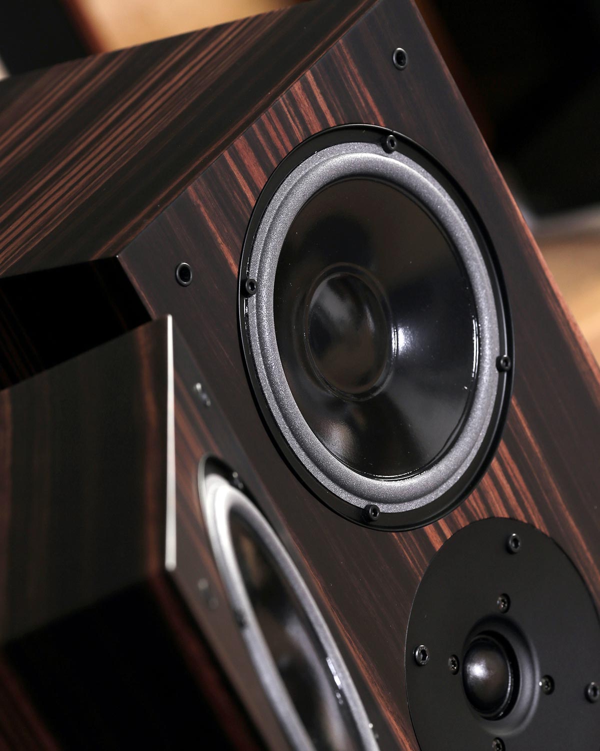 Living Voice IBX-R4 - Standlautsprecher Santos Rosewood