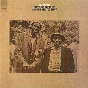Taj Mahal - Recycling the Blue & other related stuff - 180g Vinyl Doppel-LP