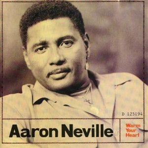 Aaron Neville - Warm Your Heart - 180g Vinyl Doppel-LP